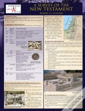Survey Of The New Testament Laminated Sheet