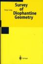 Survey On Diophantine Geometry - Preview
