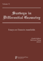 Surveys In Differential Geometry Vol 6 - Preview