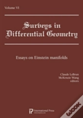 Surveys In Differential Geometry Vol 6