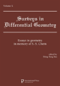 Surveys In Differential Geometry Vol. - Preview