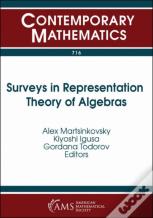 Surveys In Representation Theory Of Algebras