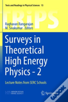 Surveys In Theoretical High Energy Physics - 2