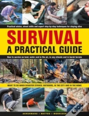 Capa do artigo Survival: A Practical Guide