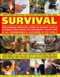 Survival - Preview