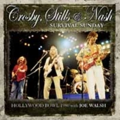 Capa do artigo Survival Sunday - CD