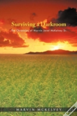 Capa do artigo Surviving A Darkroom