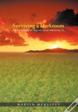 Capa do artigo Surviving A Darkroom