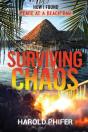 Surviving Chaos, How I Found Peace At A Beach Bar - Preview
