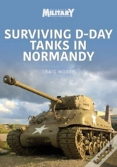 Surviving D-Day Tanks In Normandy