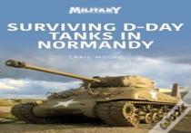 Surviving D-Day Tanks In Normandy