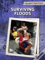 Capa do artigo Surviving Floods