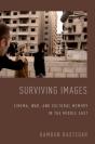 Surviving Images - Preview