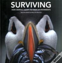 Capa do artigo Surviving