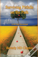 Surviving Pitfalls On The Path