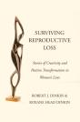 Surviving Reproductive Loss - Preview