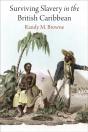 Surviving Slavery In The British Caribbean - Preview