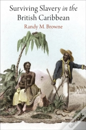Surviving Slavery In The British Caribbean