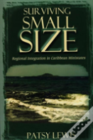 Surviving Small Size States