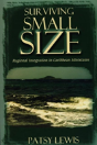 Surviving Small Size States - Preview