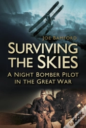 Capa do artigo Surviving The Skies