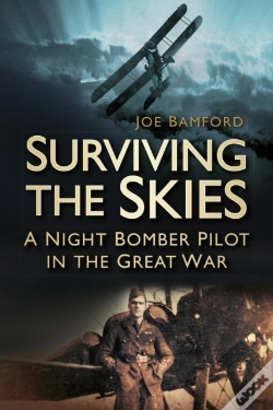 Capa do artigo Surviving The Skies