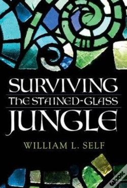 Capa do artigo Surviving The Stained-Glass Jungle
