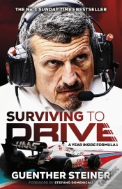 Capa do artigo Surviving To Drive