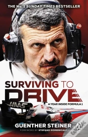 Capa do artigo Surviving To Drive