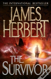 Capa do artigo Survivor