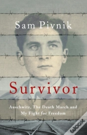 Capa do artigo Survivor