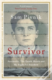 Capa do artigo Survivor
