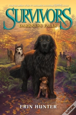 Capa do artigo Survivors #3: Darkness Falls