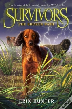 Capa do artigo Survivors #4: The Broken Path