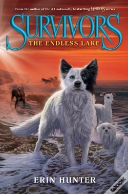 Capa do artigo Survivors #5: The Endless Lake