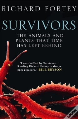 Capa do artigo Survivors