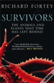 Capa do artigo Survivors