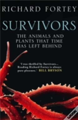 Capa do artigo Survivors