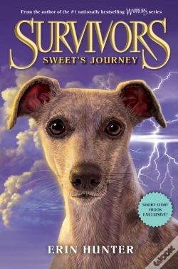 Capa do artigo Survivors: Sweet'S Journey