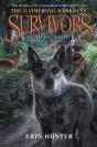 Survivors: The Gathering Darkness #2: Dead Of Night - Preview