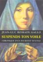 Suspends Ton Voile D'Abord ! Chronique D'Un Incident Textile - Preview