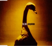Capa do artigo Suspicion - CD