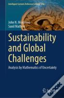Sustainability And Global Challenges
