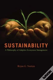 Capa do artigo Sustainability