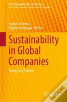 Sustainability In Global Companies