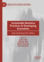 Sustainable Business Practices In Developing Economies - Preview
