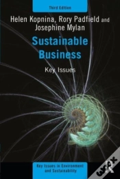 Capa do artigo Sustainable Business