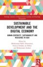 Sustainable Development And The Digital Economy - Preview