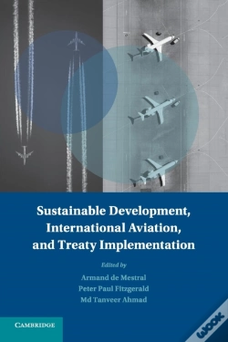 Capa do artigo Sustainable Development, International Aviation, And Treaty Implementation