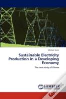 Sustainable Electricity Production In A Developing Economy